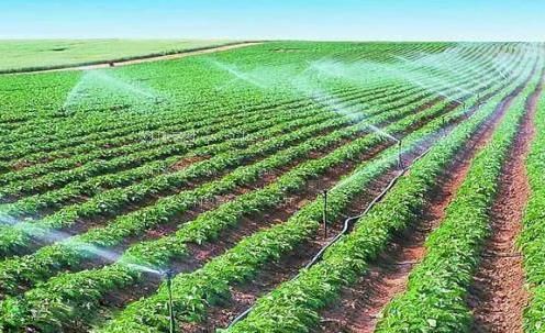 大骚穴视频农田高 效节水灌溉